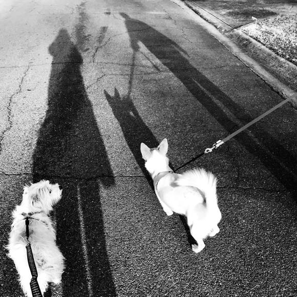 Meet your Posher, Mandy - Picture 1 of 1